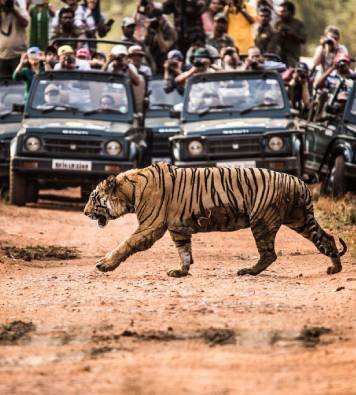 5-Day Rajasthan Tour with Ranthambore Tiger Safari